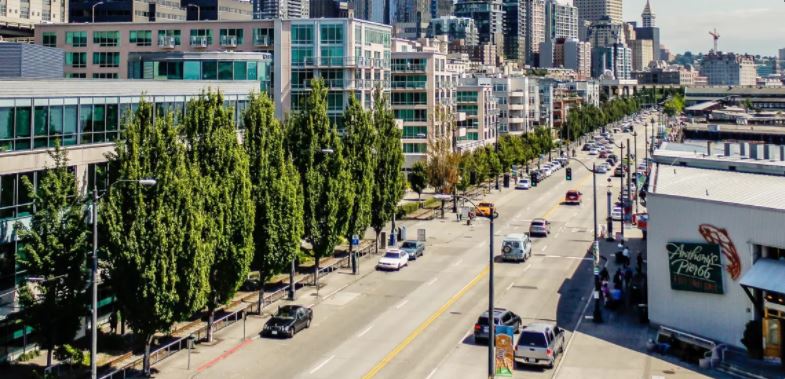 Cities Should Think About Trees As Public Health Infrastructure