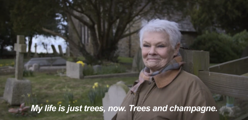 Judi Dench Loves Trees